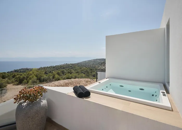 Porphyra Collection 4*